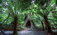 2-Day Melbourne To Adelaide Tour: Great Ocean Road And Grampians One Way Trip - thumb 3