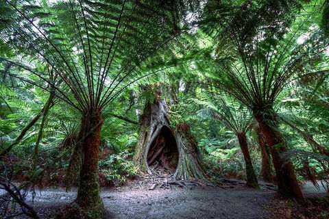 2-Day Melbourne To Adelaide Tour: Great Ocean Road And Grampians One Way Trip - Attractions Sydney 3