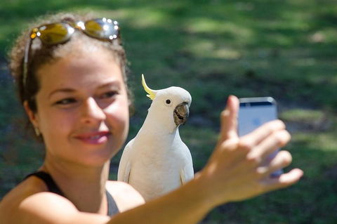 Melbourne To Adelaide South East Coast 3 Day Overland Tour - Attractions Sydney 3