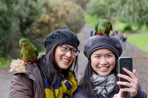 Small-Group Great Ocean Road And 12 Apostles Full-Day Tour From Melbourne - Attractions Sydney 0