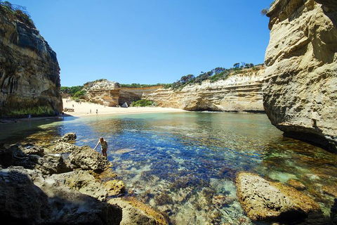 Small-Group Great Ocean Road And 12 Apostles Full-Day Tour From Melbourne - Attractions Sydney 5