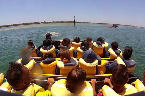 Jet Boat Express Ride - 30mins - Attractions Sydney 5