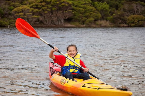 Kangaroo Island Self-Guided Kayaking On The Harriet River - Attractions Sydney 1