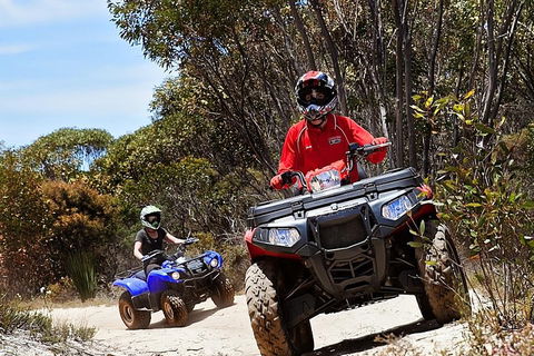 Kangaroo Island Quad Bike (ATV) Tours - Attractions Sydney 5