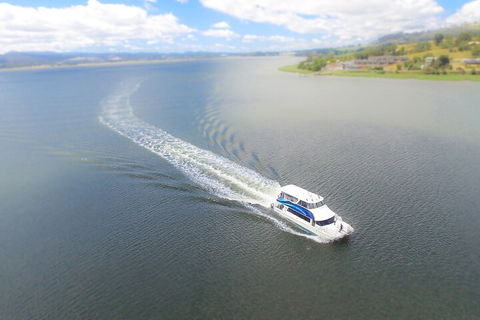 2.5 Hour Afternoon Discovery Cruise Including Cataract Gorge Departs At 1: 30 Pm - Attractions Sydney 0