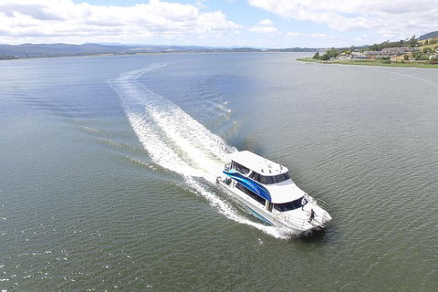 2.5 Hour Afternoon Discovery Cruise Including Cataract Gorge Departs At 1: 30 Pm - Attractions Sydney 4