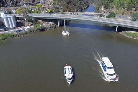 2.5 Hour Afternoon Discovery Cruise Including Cataract Gorge Departs At 1: 30 Pm - Attractions Sydney 5