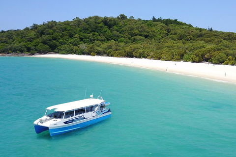 Whitsunday Bullet Day Trip - Whitehaven Beach And Snorkelling - Attractions Sydney 0