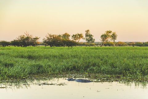 Yellow Water Cruise - Kakadu - Attractions Sydney 3