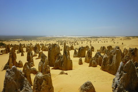 Pinnacles Desert Private Tour - Attractions Sydney 2