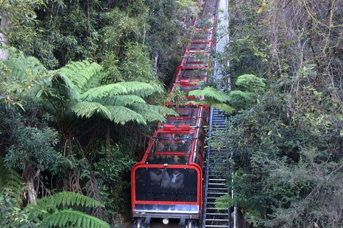 Blue Mountains Private Full-Day Tour From Sydney With Cruise - Attractions Sydney 5