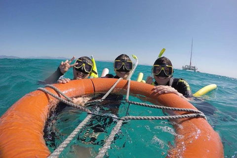 Full-Day Great Barrier Reef Sailing Trip - Attractions Sydney 0