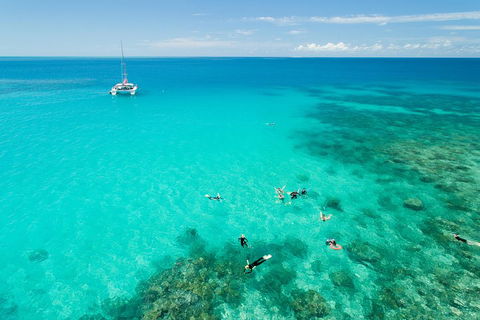 Full-Day Great Barrier Reef Sailing Trip - Attractions Sydney 2