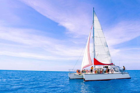 Full-Day Great Barrier Reef Sailing Trip - Attractions Sydney 4