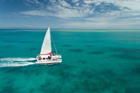 Full-Day Great Barrier Reef Sailing Trip - Attractions Sydney 5