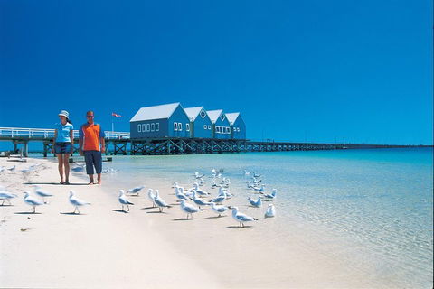 Margaret River And Geographe Bay Region Day Trip From Perth - Attractions Sydney 0
