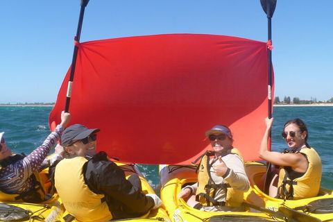 Seal Island And Penguin Island Or Point Peron Sea Kayak Tour - Attractions Sydney 2