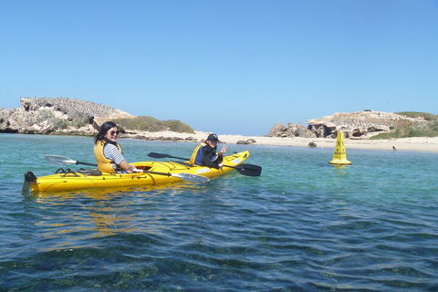Seal Island And Penguin Island Or Point Peron Sea Kayak Tour - Attractions Sydney 3