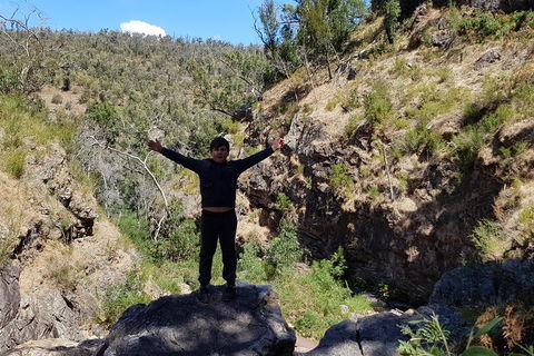 Grampians & Halls Gap - Attractions Sydney 1