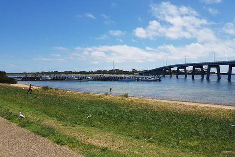 Phillip Island Penguin And Wildlife Tour - Attractions Sydney 4