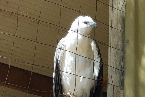 Phillip Island Penguin And Wildlife Tour - Attractions Sydney 5