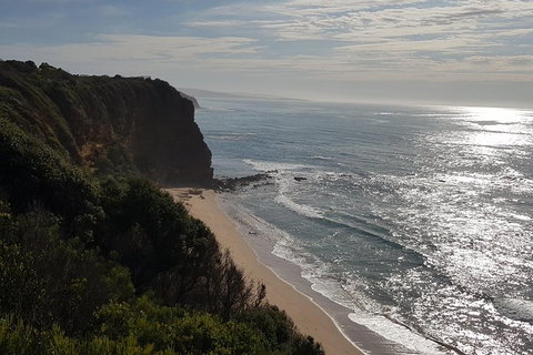 Full-Day Great Ocean Road Tour From Melbourne - Attractions Sydney 0