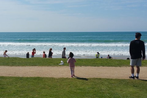 Surf Tour And Lesson - Attractions Sydney 0