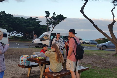 Surf Tour And Lesson - Attractions Sydney 2