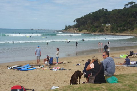 Surf Tour And Lesson - Attractions Sydney 5