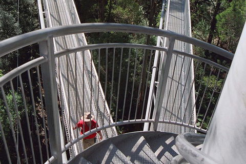 12 Apostles And Otway Fly Zipline Day Trip From Melbourne - Attractions Sydney 2