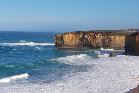 12 Apostles And Otway Fly Zipline Day Trip From Melbourne - Attractions Sydney 4