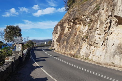 2 Day Great Ocean Road Tour And Platypus Paddle - Attractions Sydney 0