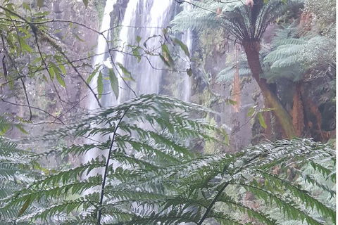 2 Day Great Ocean Road Tour And Platypus Paddle - Attractions Sydney 1