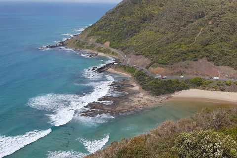 2 Day Great Ocean Road Tour And Platypus Paddle - Attractions Sydney 2