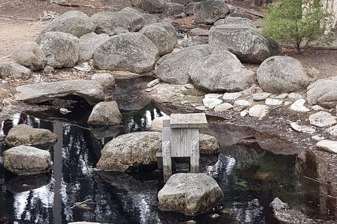 Bendigo, Echuca & The Mighty Murray - Attractions Sydney 1