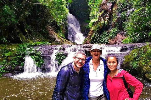Exclusive Private Tour - Design Your Own - Attractions Sydney 0