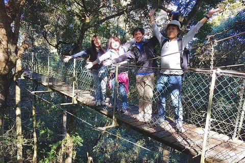 Exclusive Private Tour - Design Your Own - Attractions Sydney 5