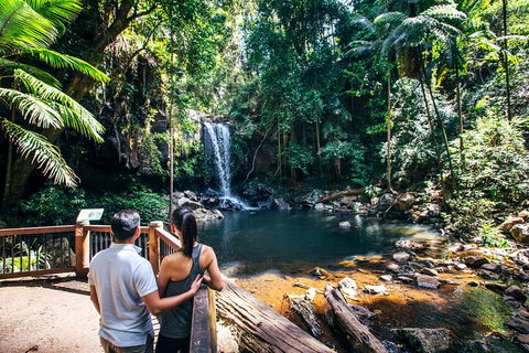Aquaduck & Your Choice Of Gold Coast Rainforest Tour - Attractions Sydney 0