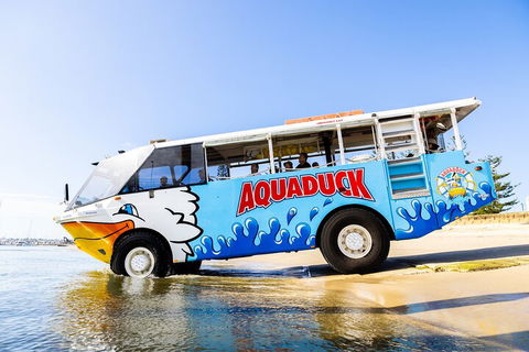 Aquaduck & Your Choice Of Gold Coast Rainforest Tour - Attractions Sydney 3