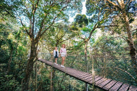 Aquaduck & Your Choice Of Gold Coast Rainforest Tour - Attractions Sydney 4