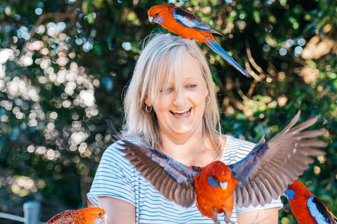 Aquaduck & Your Choice Of Gold Coast Rainforest Tour - Attractions Sydney 5