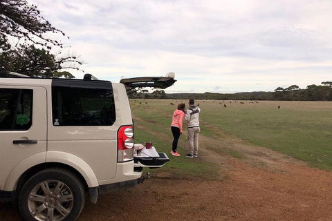 Kangaroo Island 4WD Tour - Flinders Chase - Attractions Sydney 3