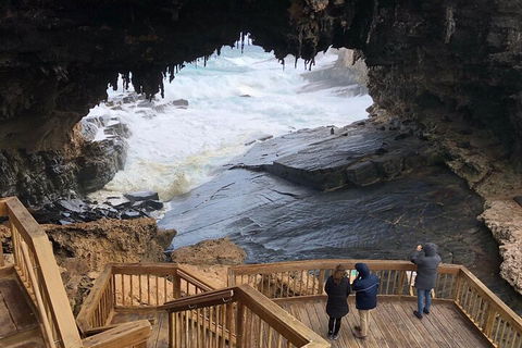 Kangaroo Island 4WD Tour - Best Of KI - Attractions Sydney 1