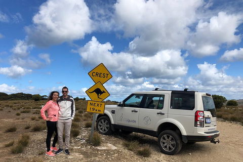Kangaroo Island 4WD Tour - Best Of KI - Attractions Sydney 5