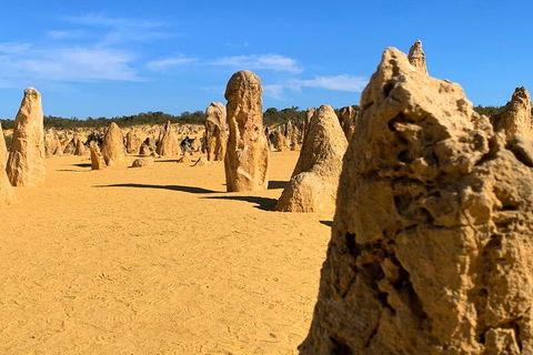 Pinnacles Desert (Private) Day Tour - Attractions Sydney 0