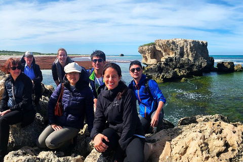 Pinnacles Desert (Private) Day Tour - Attractions Sydney 4