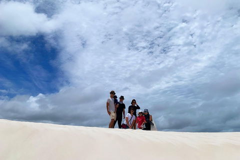 Pinnacles Desert (Private) Day Tour - Attractions Sydney 5