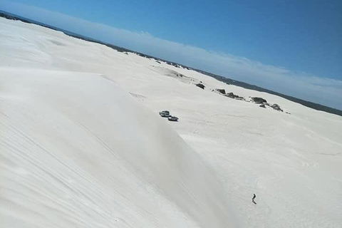 Yanchep & Lancelin - Wildlife, Cave And Sands - Attractions Sydney 3