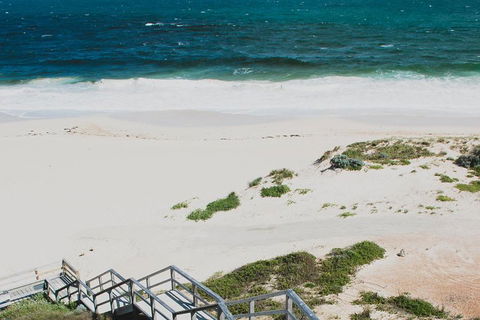 Yanchep & Lancelin - Wildlife, Cave And Sands - Attractions Sydney 5