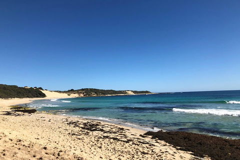 3d/2n Themed Camping Getaway - Private Campgrounds And National Parks - Attractions Sydney 3
